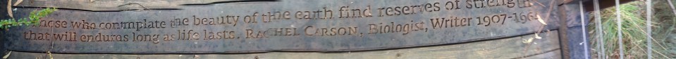 Rachel Carson quote