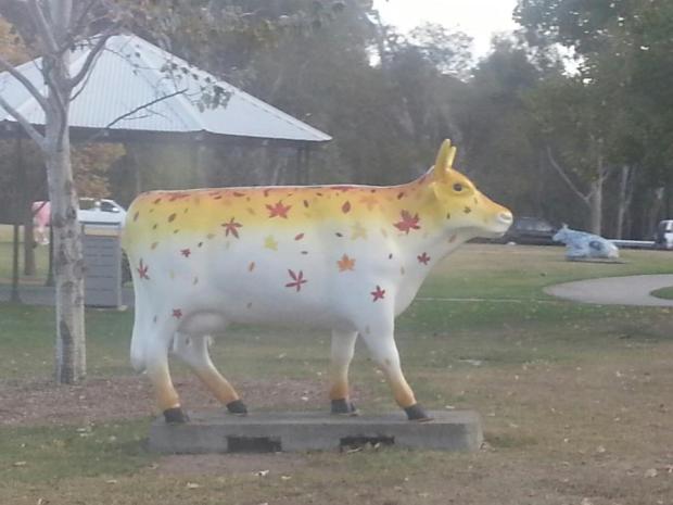 Shepparton Cows