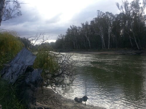 View of the Murray at Yielima View of the Murray at Yielima