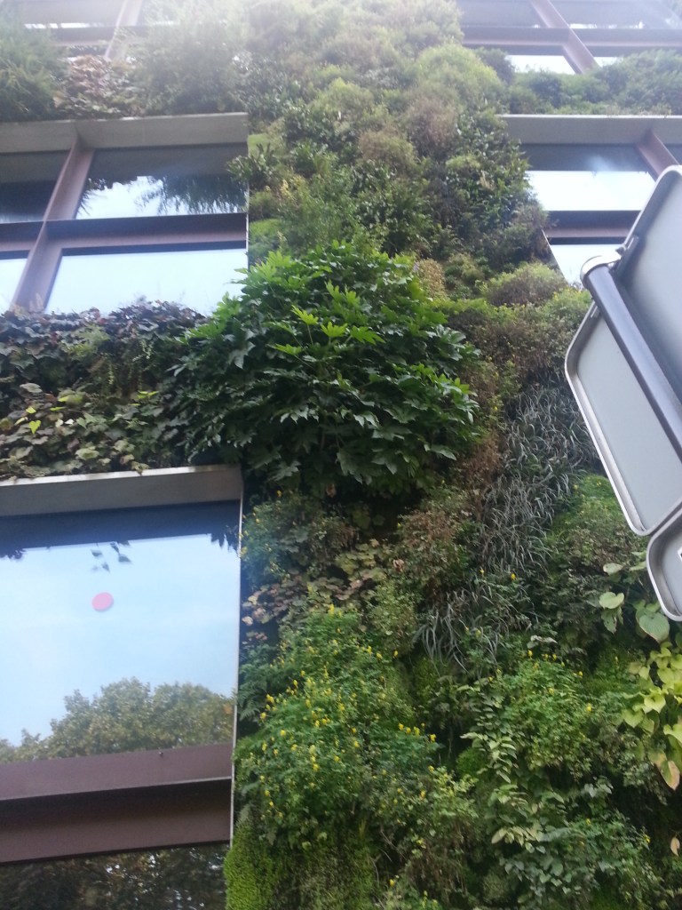 Green wall