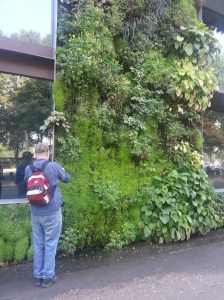 Marty at the green wall