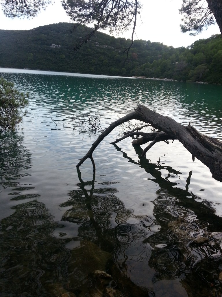 Lake at Mljet
