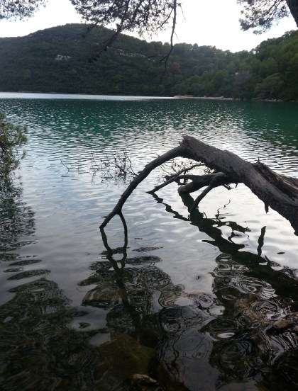 Lake at Mljet. Photo by Tracey Benson