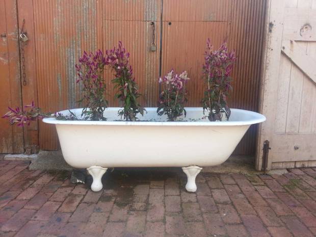 Old bath at Cork St Cafe, photo by Tracey Benson