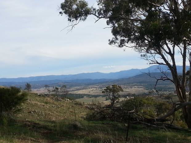 Mt Painter views, photo by Tracey Benson