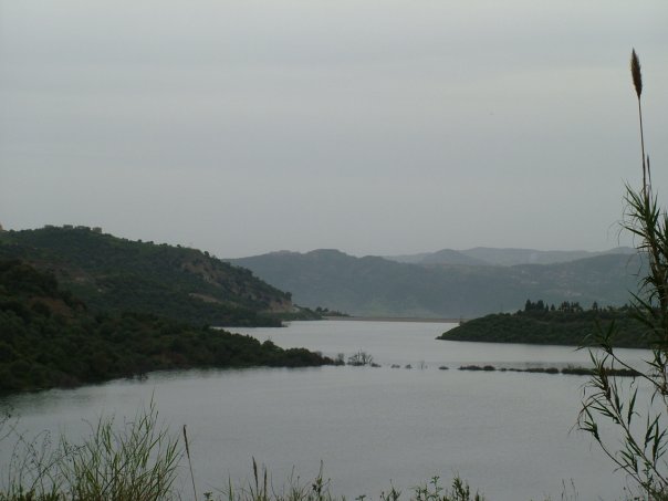 Barrage © Tracey Benson 2008