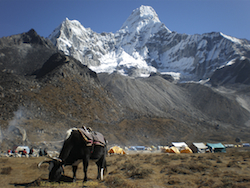 Cover Image - Ama Dablam