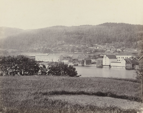 Photo credit: Henry Rosling c 1860