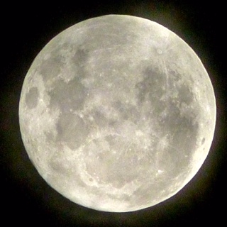 Full Moon by Garry Benson