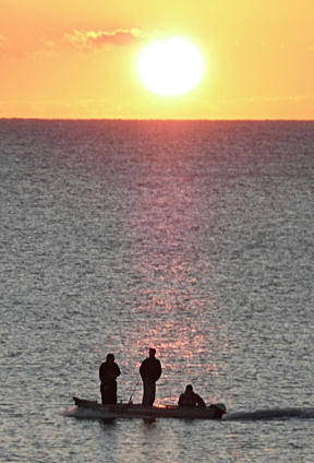 Image credit: Garry Benson