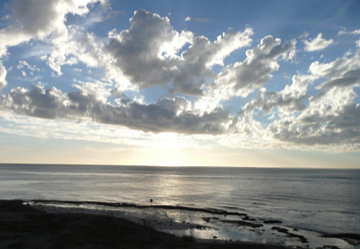 Image credit: Garry Benson