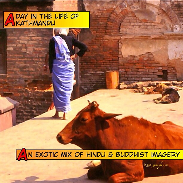 Image: Garry Benson © 2014