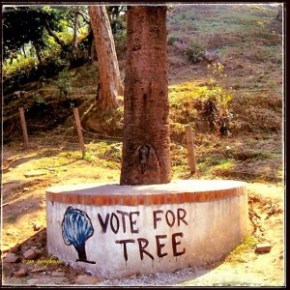 Image: Garry Benson © 2014