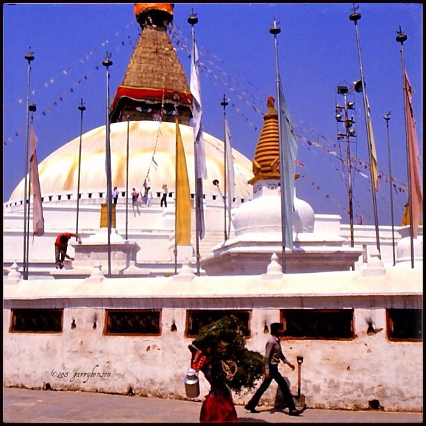 Image: Garry Benson © 2014