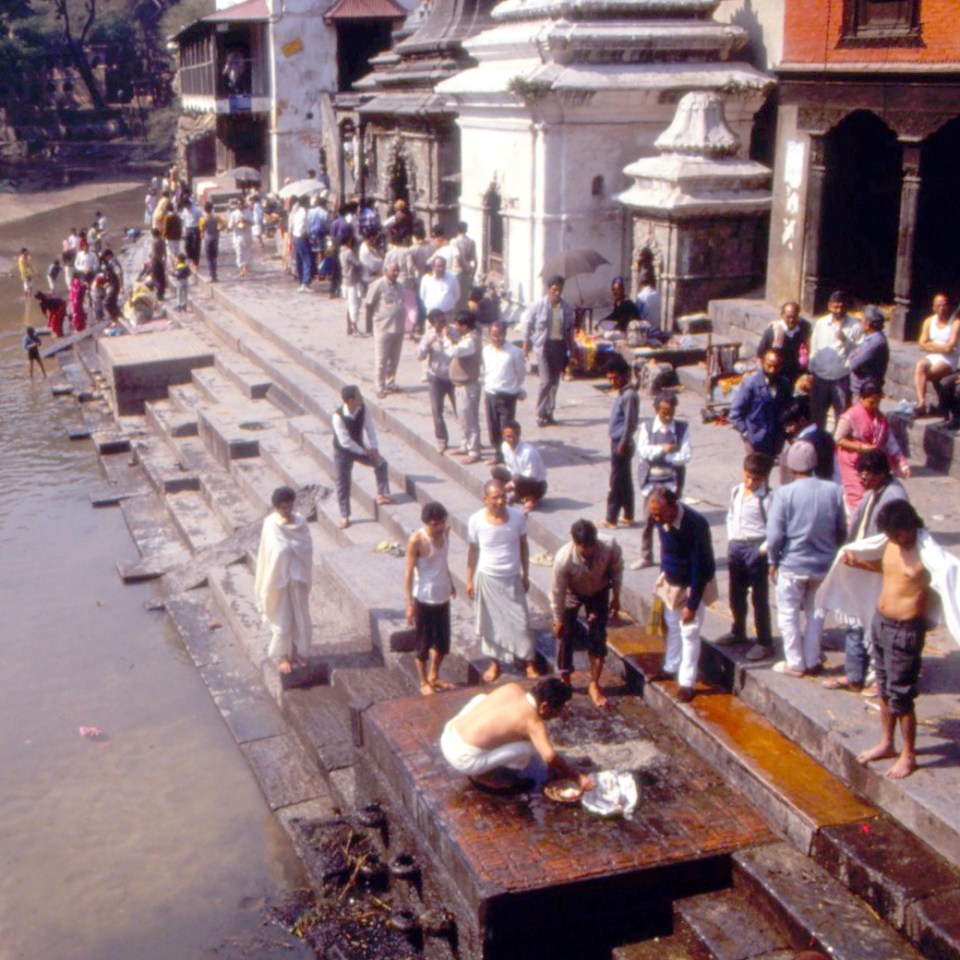 Image: Garry Benson © 2014