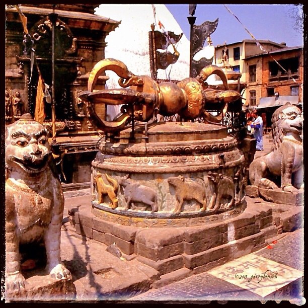 Image: Garry Benson © 2014