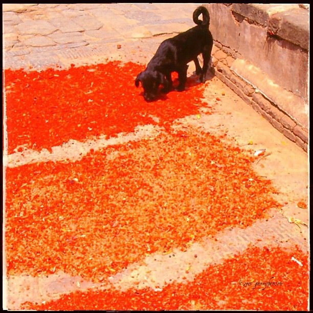 Image: Garry Benson © 2014