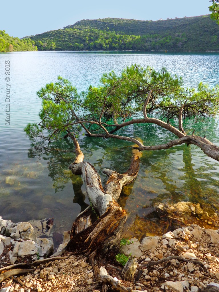 Mljet 4