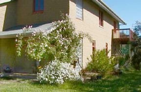 Namaste - mud brick home