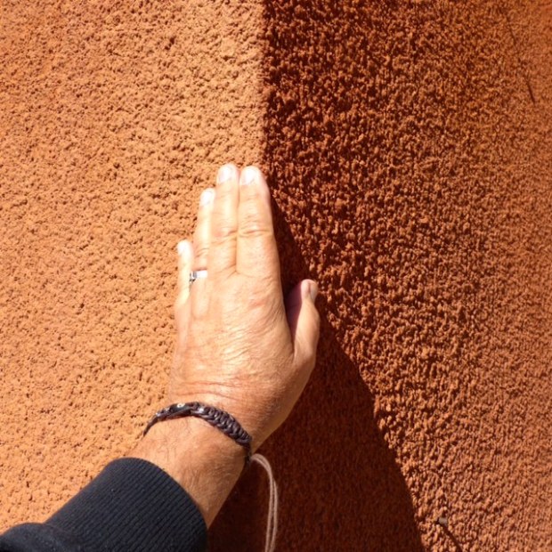 Image credit: Garry Benson