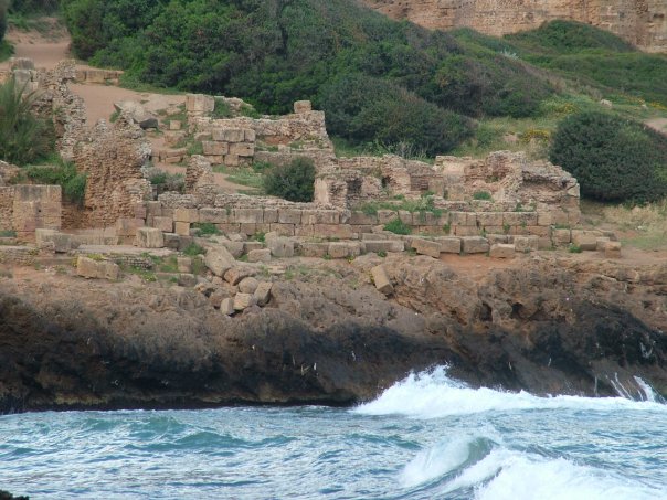 Tipasa © Tracey Benson 2008