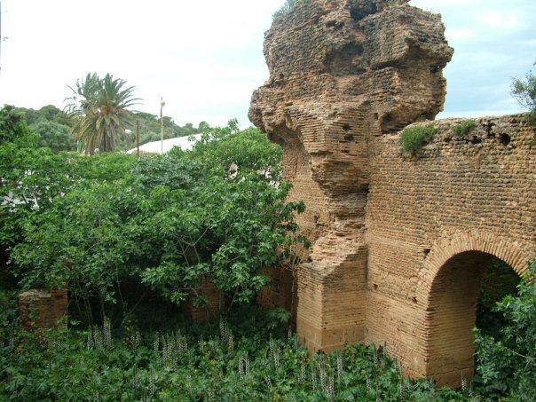 Tipasa © Tracey Benson 2008