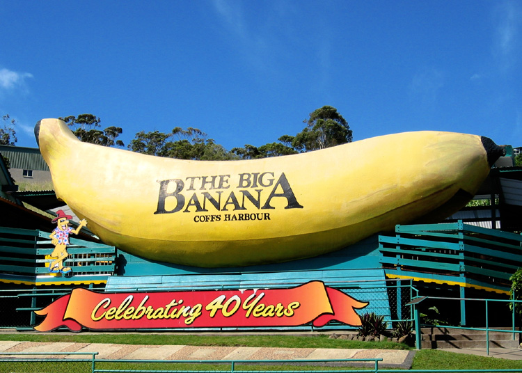 Big Banana - from Wikipedia Commons