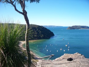 Image Credit: NSW Dept Environment