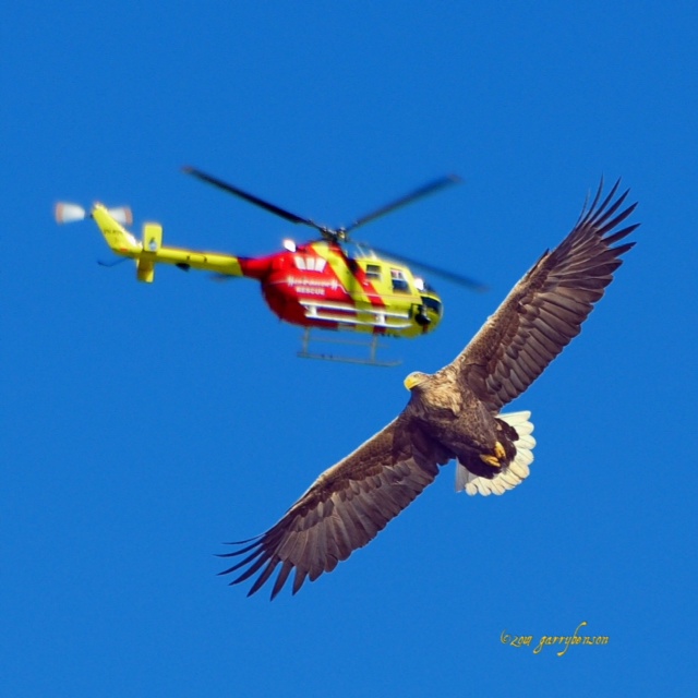 Image credit: © Garry Benson 2014