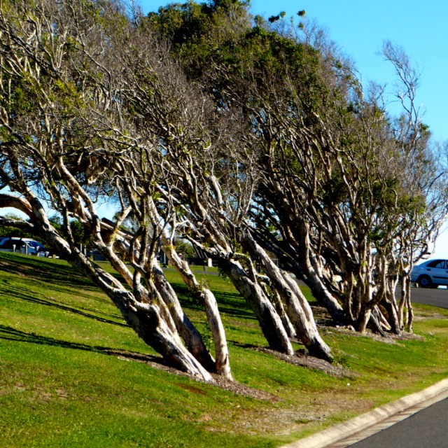 Image credit: © Garry Benson 2014