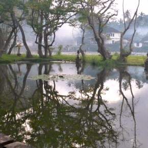 © Garry Benson 2014