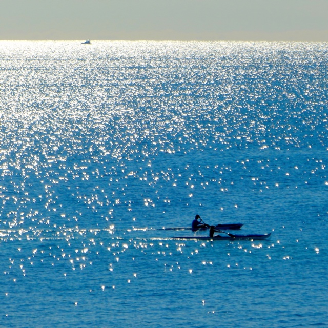 Image credit: © Garry Benson 2014