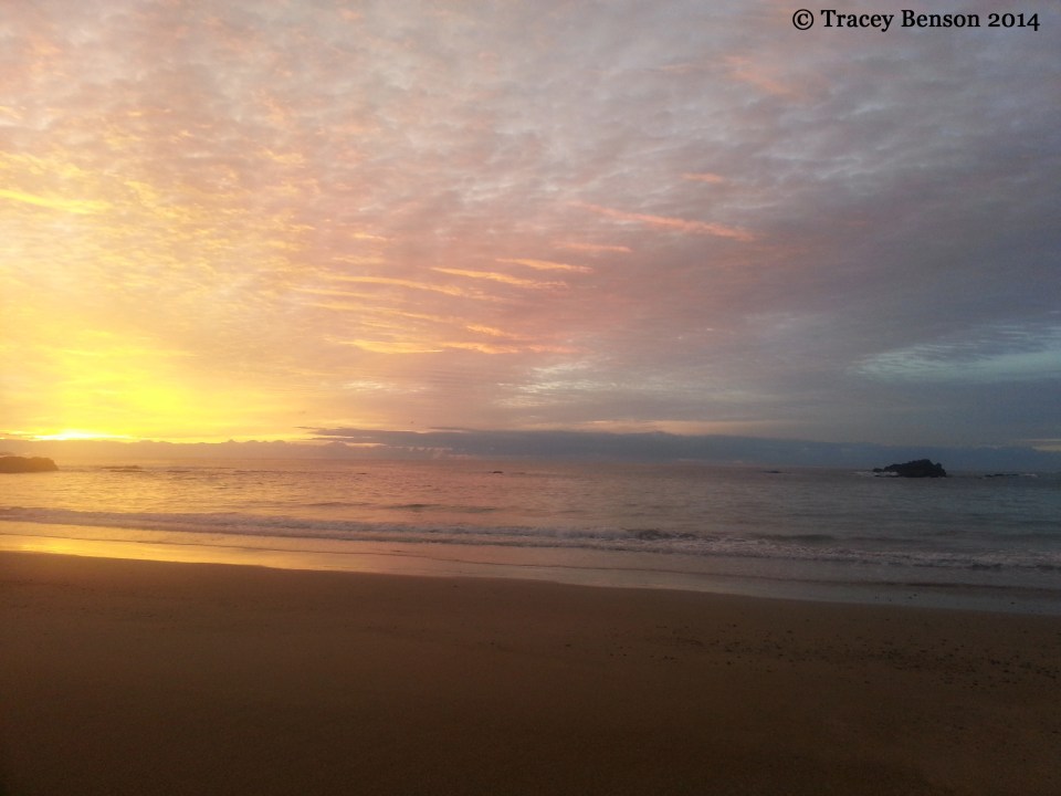 Korora Beach sunrise © Tracey Benson 2014