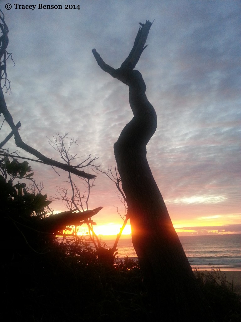 Korora Beach sunrise © Tracey Benson 2014