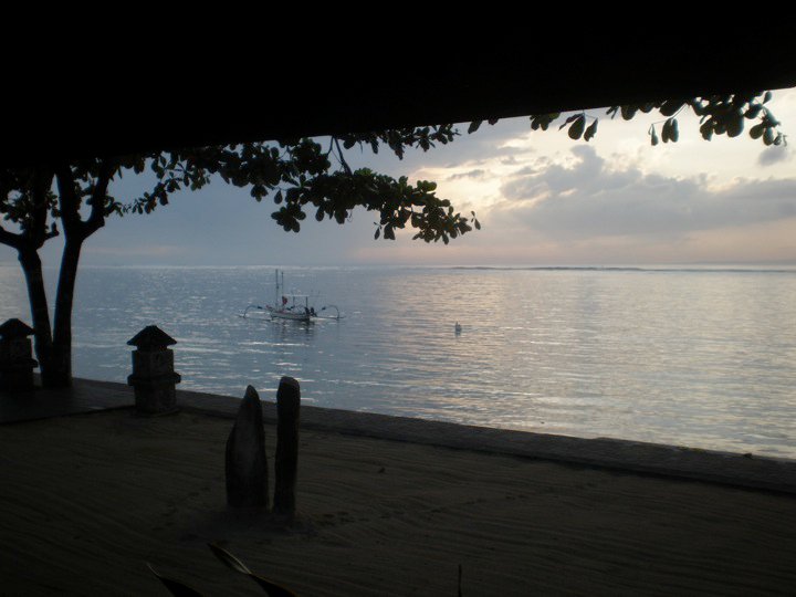 © Tracey Benson 2011