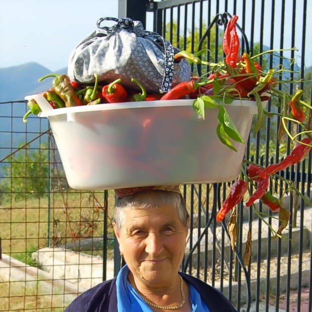 Image credit: Garry Benson