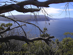 Feature image - Tasman National Park