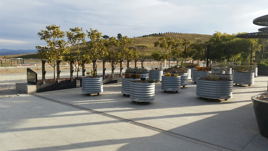 National Arboretum © Tracey Benson 2014