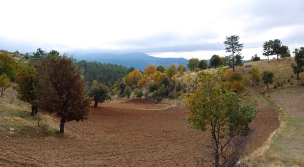 Ways you can best travel by horse.