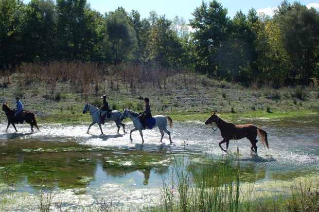 In the River Yalak, September 2009. Photo: Mehmet Çam.