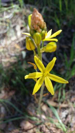 © Tracey Benson 2014