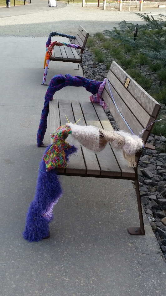 National Arboretum © Tracey Benson 2014