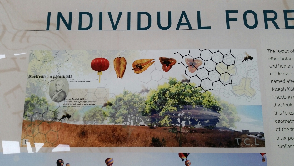 National Arboretum © Tracey Benson 2014