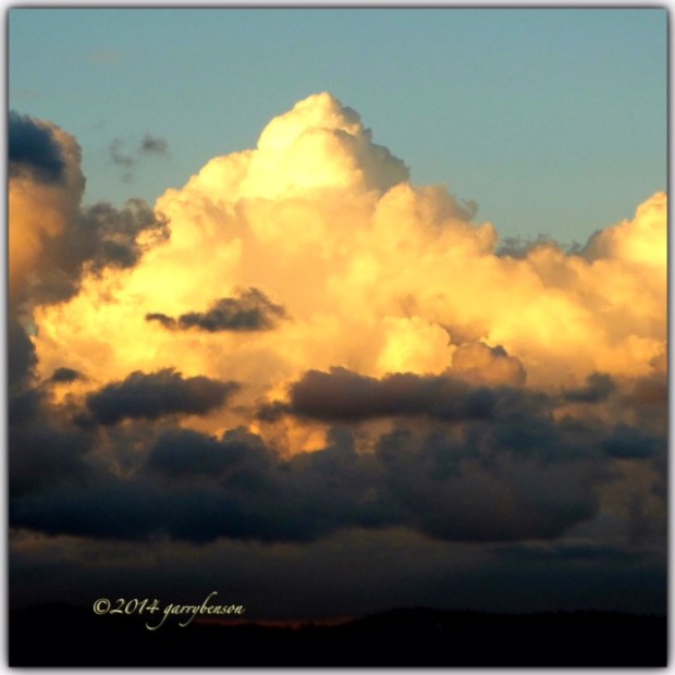 © Garry Benson 2014