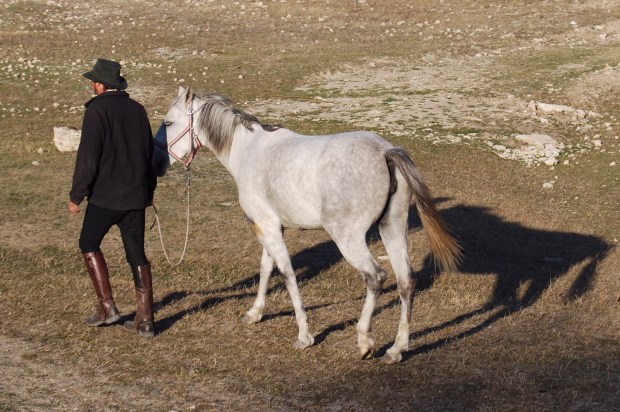 The Pleasures of Travel with Horses, 1: Going for an evening stroll.
