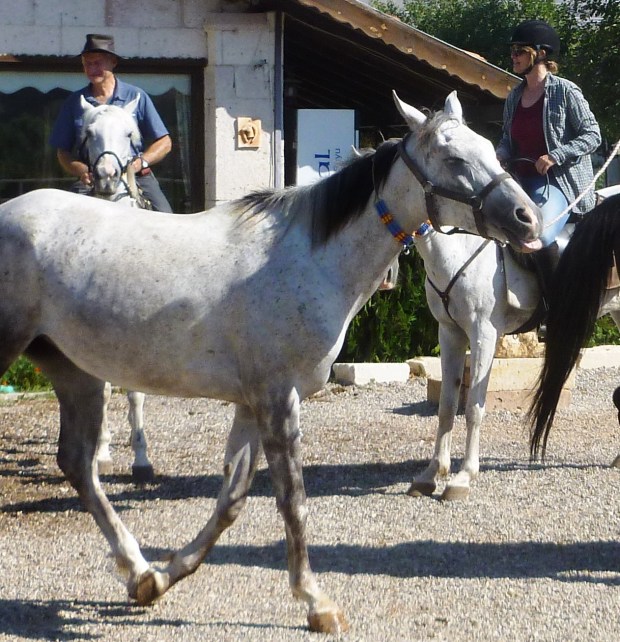 Tuvana sticks her tongue out and goes for a walk