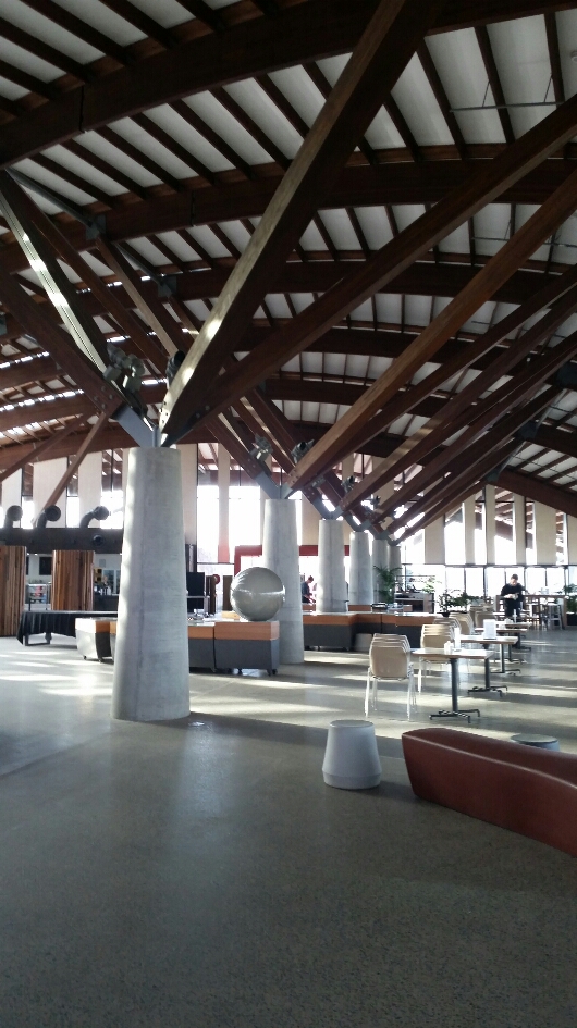 National Arboretum © Tracey Benson 2014