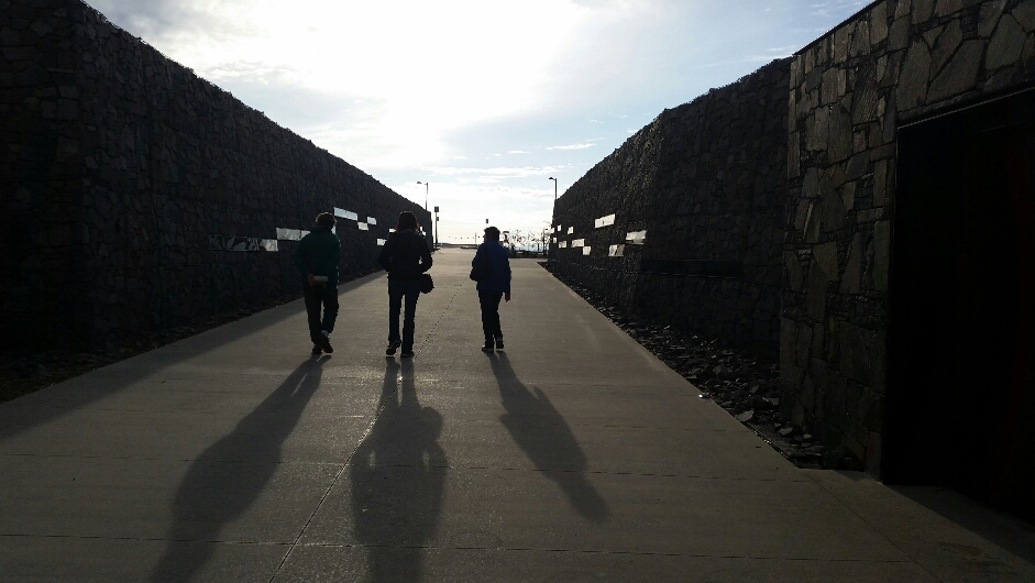 National Arboretum © Tracey Benson 2014