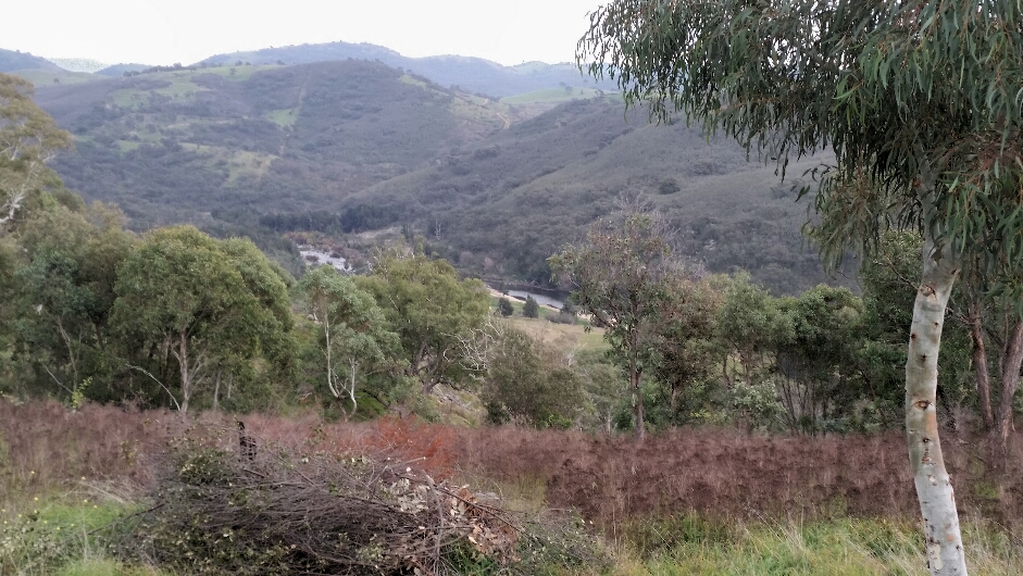 Brindabella Hills Vineyard © Tracey Benson 2014