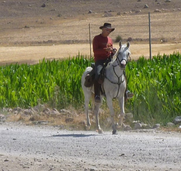 20 August: Zenopya, eager for lunch (Ciftlik)